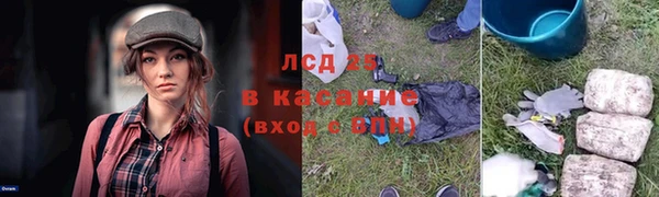 спиды Богородск