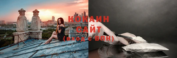 спиды Богородск