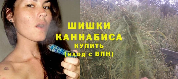 ALPHA PVP Богородицк