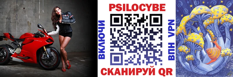 Галлюциногенные грибы Psilocybe наркотики Кировск