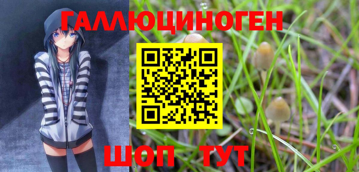 Псилоцибиновые грибы мицелий Кировск